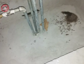 崆峒卫生间测漏水价格明细