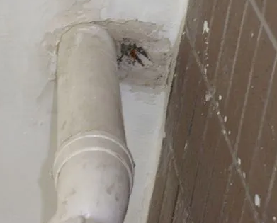 崆峒漏水检测哪家好